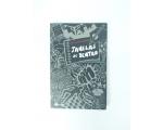 Livro Janelas de Dentro