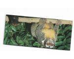 Nestle Surpresa Cole��o Animais da Amazonia n.08
