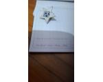 Pin Estrela Simbolo