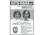Autorama Estrela - Manual Fittipaldi Wilsinho Serie Conselho