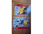 Coca Cola 1997 Cards N.20 Copa da Fran�a Leandro