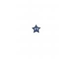 Broche PT Estrela Roxo