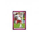 Futebol 2012 Euro n.75