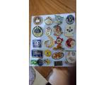 Pin Lions Club 21x Pe�as Diferentes