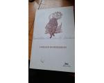 Livro Escritos de Santo Inacio O Relato do Peregrino