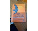 Livro Longe � um Lugar qu n�o existe