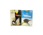 DVD A Marcha dos PInguins