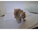 Fluffy Koosh Gato