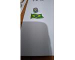 Pin Bandeira que Toca