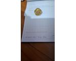 Pin Amoreira