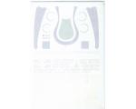 1/20 - 1994 Benetton B194 Schumacher Mild Seven
