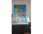 Guia de Personagens Pokemon