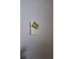 Pin Deloittel
