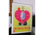 DVD Incompreendida