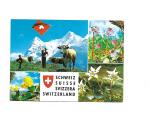 Cart�o Postal Suissa Propaganda do Pais