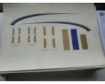 Decalque Avi�o Right Side Left Side A340