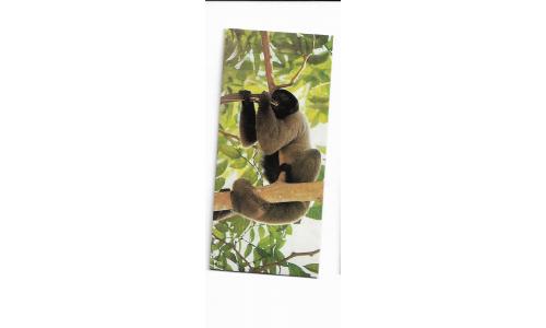Nestle Surpresa Cole��o Animais da Amazonia n.06