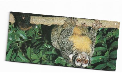 Nestle Surpresa Cole��o Animais da Amazonia n.08