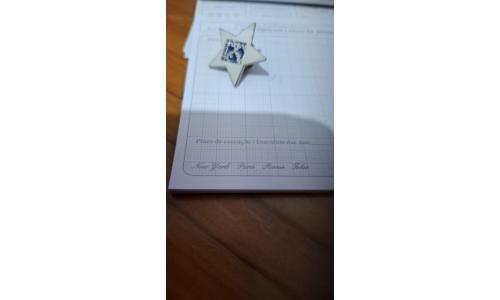 Pin Estrela Simbolo