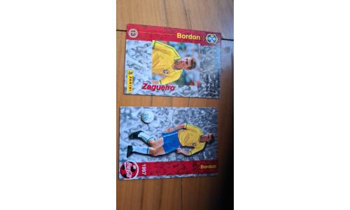 Coca Cola 1997 Cards N.13 Copa da Fran�a Bordon