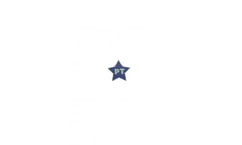 Broche PT Estrela Roxo