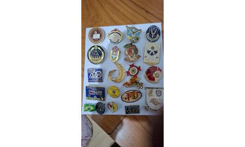Pin Lions Club 21x Pe�as Diferentes