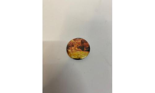 Broche Acho que vi um Gatinho