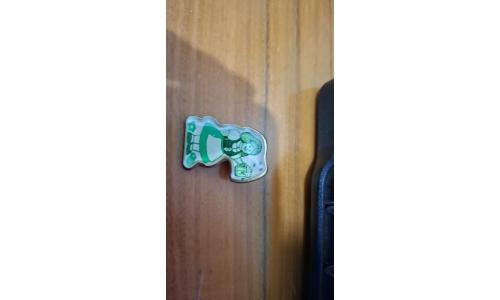 Pin Santa Catarina Alem�