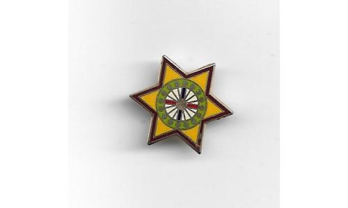 Pin Estrela Colorida