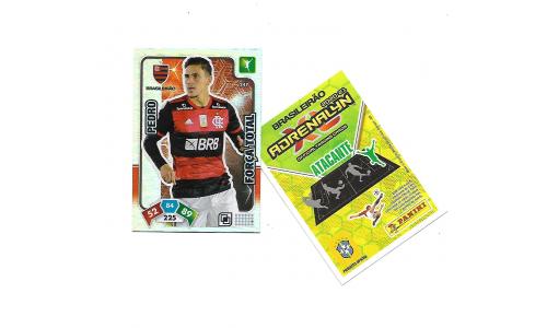 Cards Brasileir�o Adrenalyn 2020