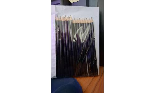 China Conjunto 24 Lapis