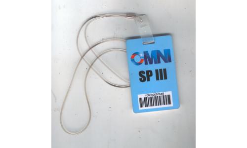 Cart�o Plastico Omini