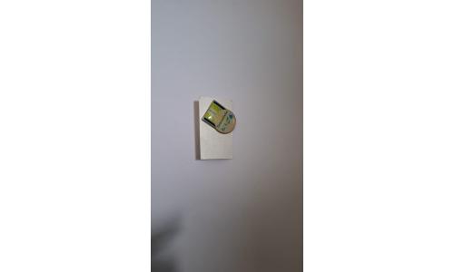 Pin Deloittel