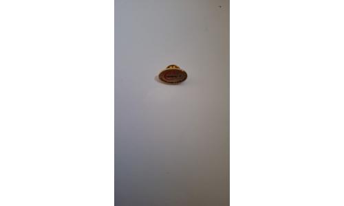 Pin Simbolo Casa
