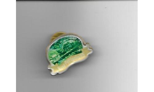 Pin Santa Catarina Cidade