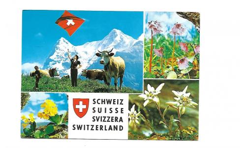 Cart�o Postal Suissa Propaganda do Pais