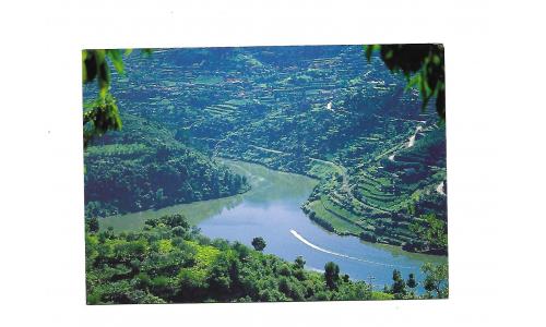 Cart�o Postal Portugal Porto